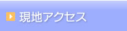 nANZX
